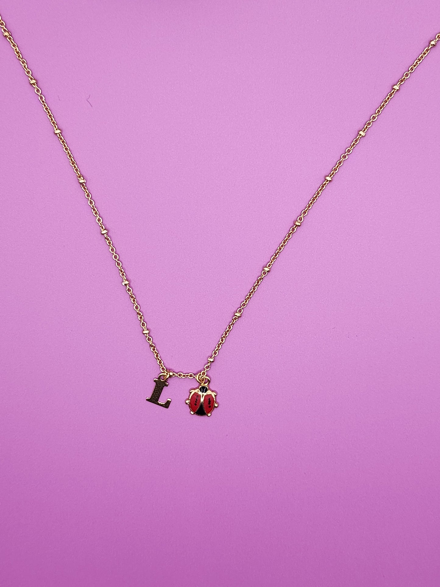 Porte-bonheur Coccinelle